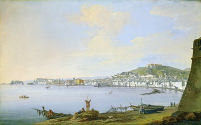 Veduta di Napoli da Saviero Xavier della Gatta